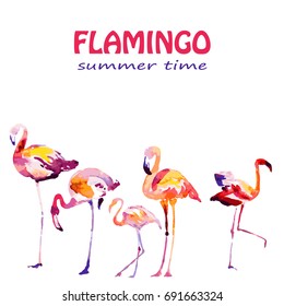 Beautiful watercolor flamingos, isolated on a white. Big set.