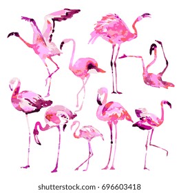 Beautiful watercolor flamingos, isolated on a white. Big set.