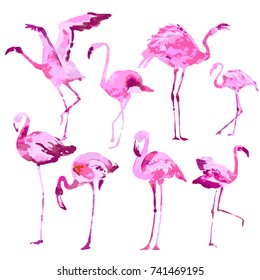 Beautiful watercolor flamingos, isolated on a white. Big set.