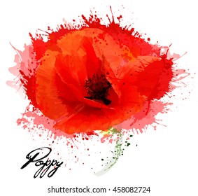 Beautiful watercolor flower poppy drawing. Vector.