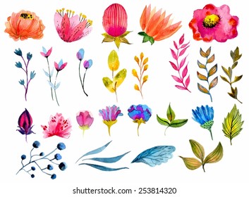 Beautiful Watercolor flower set over white background for design
