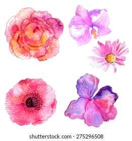 Beautiful Watercolor flower set over white background for design, VECTOR