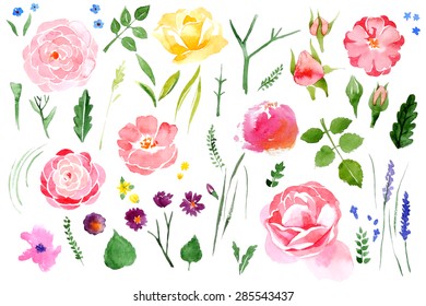Beautiful watercolor flower set over white background 