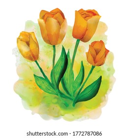 Beautiful watercolor flowers for illustration