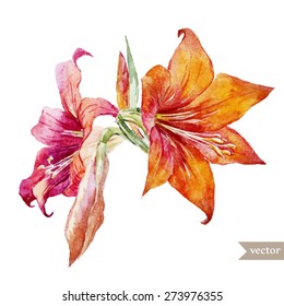 Beautiful watercolor flowers red and orange lilies