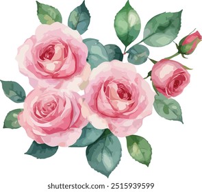 beautiful Watercolor flowers Simple pink rose, vector illustration