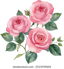 schöne Aquarell Blumen Einfache rosa Rose, Vektorgrafik