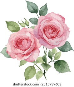 hermosas flores de acuarela Rosa simple rosa, Ilustración vectorial