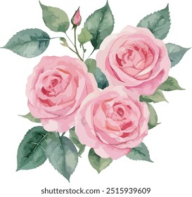 schöne Aquarell Blumen Einfache rosa Rose, Vektorgrafik