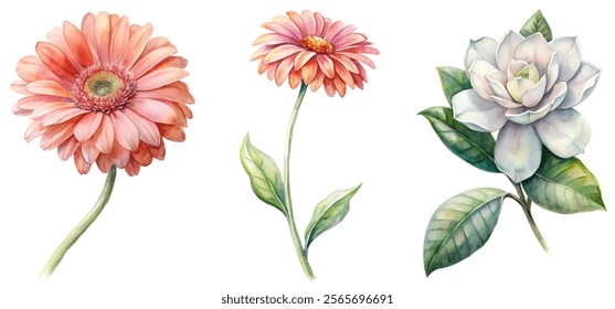 Beautiful watercolor flowers, vibrant petals, delicate leaves, botanical illustration, floral art, nature design, artistic composition.