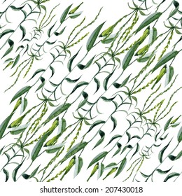Beautiful watercolor grass with spikes pattern on white background vector illustration