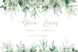  Beautiful Watercolor Green Leaves Background