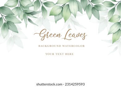 beautiful watercolor green leaves background