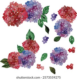 beautiful watercolor hydrangea flower design 