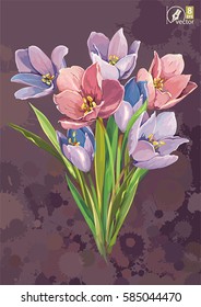 Beautiful watercolor illustration of bouquet. Floral greeting card or template. Elegant arrangement illustration with spring blossoming crocus flower. Greeting easter, happy Mothers and Women Day card