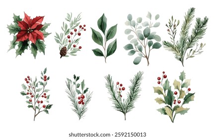 A beautiful watercolor illustration featuring Christmas foliage, including holly leaves, red berries, pine branches, eucalyptus, and a poinsettia flower. Perfect for holiday cards and festive designs