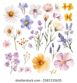 A beautiful watercolor illustration featuring a diverse collection of wildflowers in pastel shades, including daisies, lavender, and blossoms, perfect for botanical designs