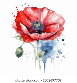 Beautiful watercolor illustration Poppy flower isolated on white background