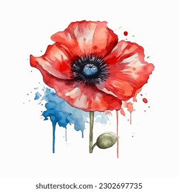 Beautiful watercolor illustration Poppy flower isolated on white background