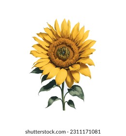  beautiful watercolor illustration of a single sunflower in vibrant hues. This artwork captures the essence of nature's beauty with its intricate details and warm colors.