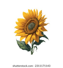 A beautiful watercolor illustration of a single sunflower in vibrant hues. Perfect for adding a touch of natural elegance to your designs or projects.