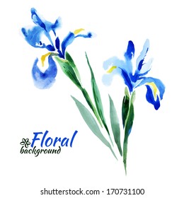 Beautiful watercolor paint blue irises. Vector illustration. Cards of Happy Mother's Day. Cards of Happy Valentine's Day