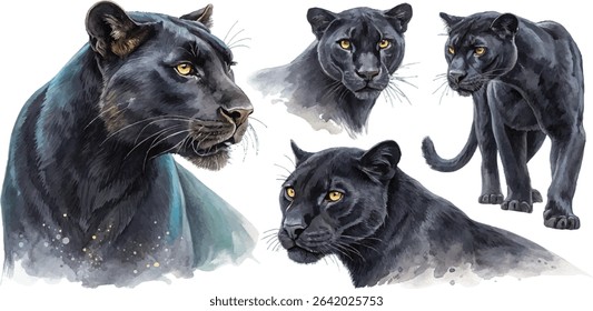 A beautiful watercolor painting of black panthers in different poses. The painting is detailed and lifelike, capturing the animals' grace and power.