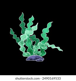Beautiful watercolor paintings of seaweed and corals on a black background. Great for decorating any water-themed location, such as water parks, beaches, or aquariums.