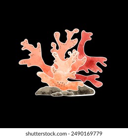 Beautiful watercolor paintings of seaweed and corals on a black background. Great for decorating any water-themed location, such as water parks, beaches, or aquariums.