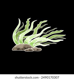 Beautiful watercolor paintings of seaweed and corals on a black background. Great for decorating any water-themed location, such as water parks, beaches, or aquariums.