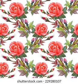 Beautiful watercolor pink roses seamless pattern on white background vector illustration