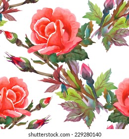 Beautiful watercolor pink roses seamless pattern on white background vector illustration