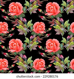 Beautiful watercolor pink roses seamless pattern on black background vector illustration