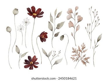 Beautiful Watercolor Pressed Flower Collection	