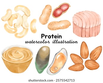 Beautiful Watercolor Protein Food Illustrations: Hand-Painted Clip Art Featuring Nuts, Seeds, Peanut Butter, Mussels, and Tuna for Creative Culinary Designs, Menus, and Branding Projects