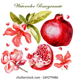 Beautiful watercolor set with fruits and flowers of pomegranate. Vector.