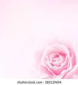 Beautiful watercolor  vector illustration with rose.  Stylish spring background with a place for text, good for cards, invitations
