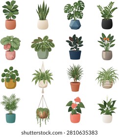 A beautiful watercolor-style vector grid of 16 popular indoor plants in stylish modern pots, including Fiddle Leaf Fig, Snake Plant, Monstera Deliciosa, ZZ Plant, Calathea, Rubber Plant, Bird of Paradise, Pilea, Hanging Fern, Spider Plant, Parlor Palm, and Peace Lily. Isolated on a white background.