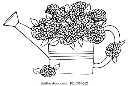  Beautiful watering can with pink and purple, blue flowers. Black and white vector for coloring, for card or gift.