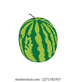 A beautiful watermelon vector artwork