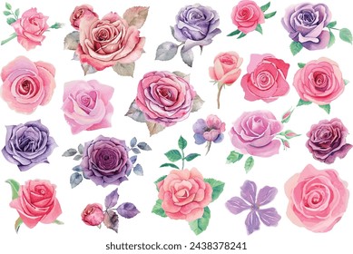 Beautiful wedding pink rose flowers watercolor elements set