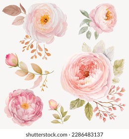 beautiful wedding watercolor rose set