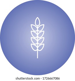 Beautiful Wheat Line Vector Icon