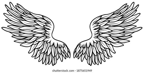 Beautiful white angel wings, hand drawn vector