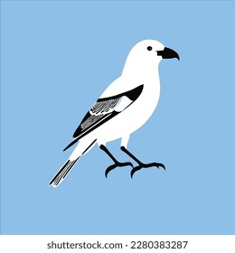 A beautiful white bird vector art work