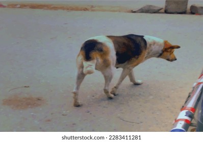 A beautiful white ,black and yellow bitch on the road is a wonderful lady dog animal painting .This photo is great for people who loves dogs ,bitch and animals .The design is excellent for web ,print