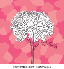 beautiful white blooming flower on an abstract background. impressionism style. vector illustration.