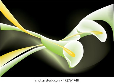 Beautiful white calla lilies 