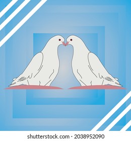 Beautiful white couple piegon. looking great