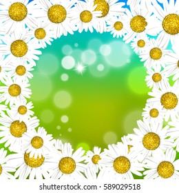 Beautiful white daisies on a bright background. Vector illustration
